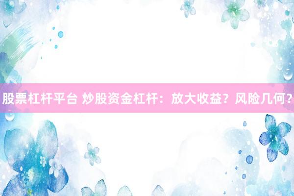 股票杠杆平台 炒股资金杠杆：放大收益？风险几何？