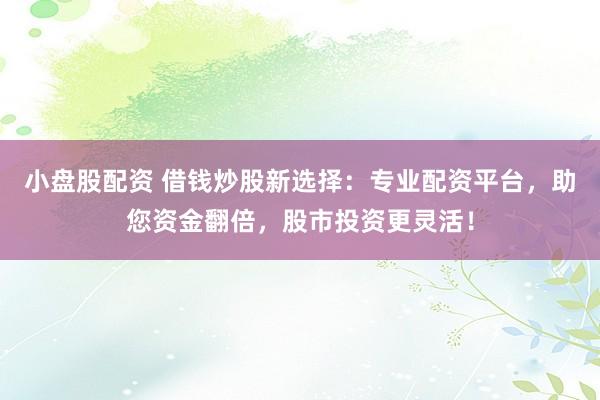 小盘股配资 借钱炒股新选择：专业配资平台，助您资金翻倍，股市投资更灵活！