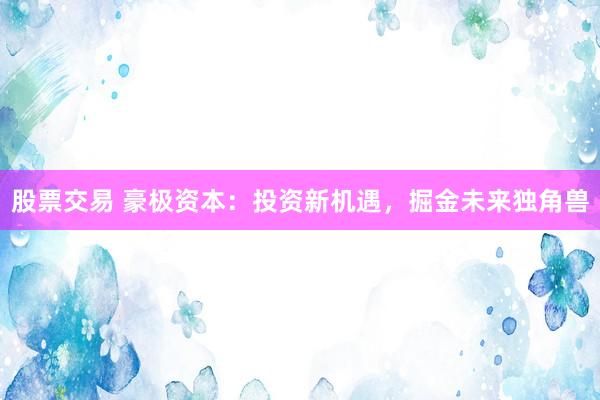 股票交易 豪极资本：投资新机遇，掘金未来独角兽