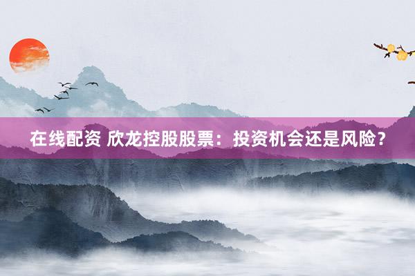 在线配资 欣龙控股股票：投资机会还是风险？