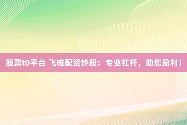 股票t0平台 飞唯配资炒股：专业杠杆，助您盈利！