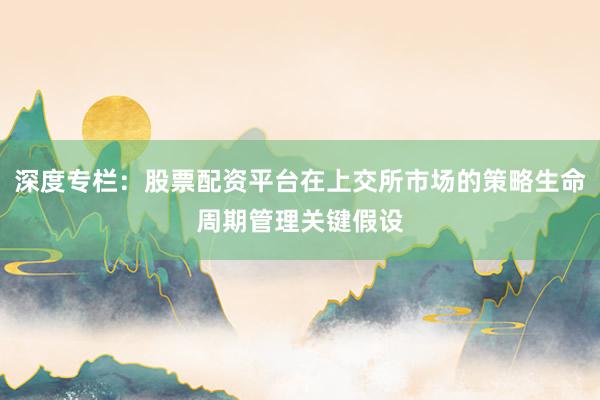 深度专栏：股票配资平台在上交所市场的策略生命周期管理关键假设