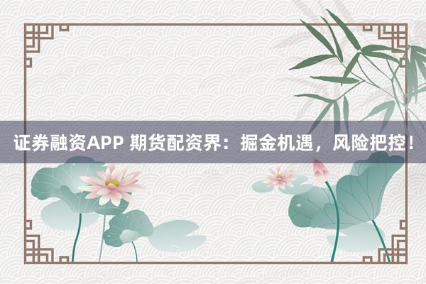 证券融资APP 期货配资界:掘金机遇,风险把控!