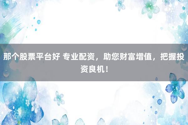 那个股票平台好 专业配资，助您财富增值，把握投资良机！
