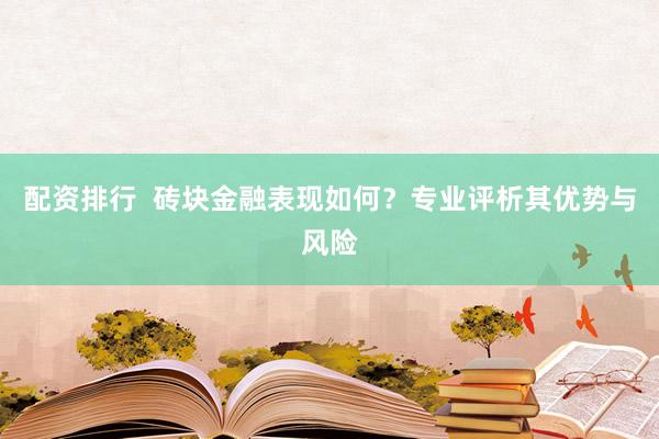 配资排行  砖块金融表现如何？专业评析其优势与风险