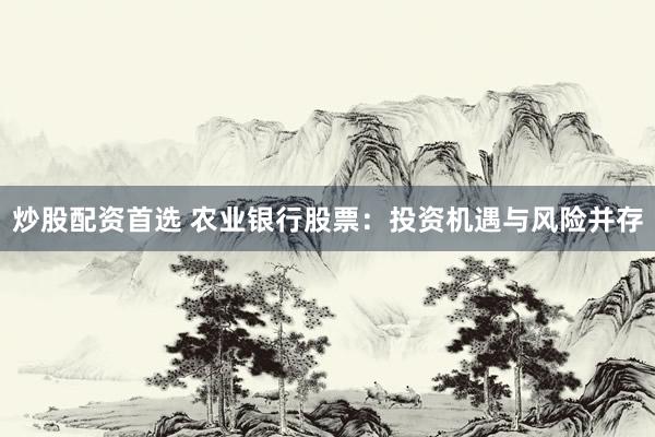 炒股配资首选 农业银行股票：投资机遇与风险并存